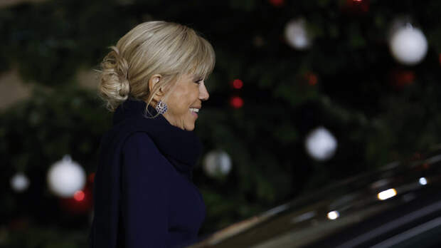 Во Франции 10 человек осудили за интернет-травлю Брижит Макрон