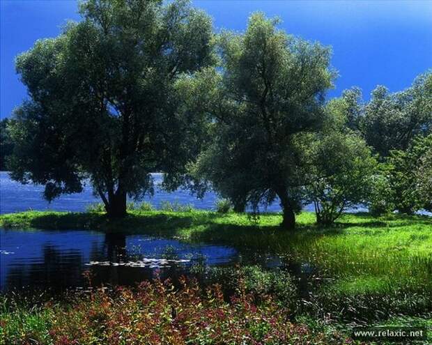 Andris_Eglitis_028