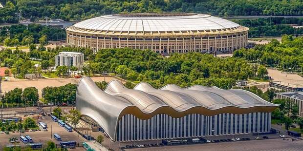Собянин отметил успешное выступление олимпийцев-москвичей на играх в Токио. Фото: М. Денисов mos.ru