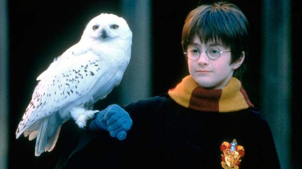 Самые успешные фильмы каждого года XXI века