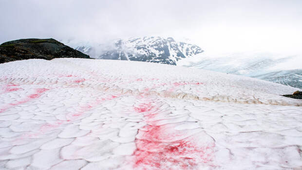 Почему снег бывает не только белый: 3 возможные причины