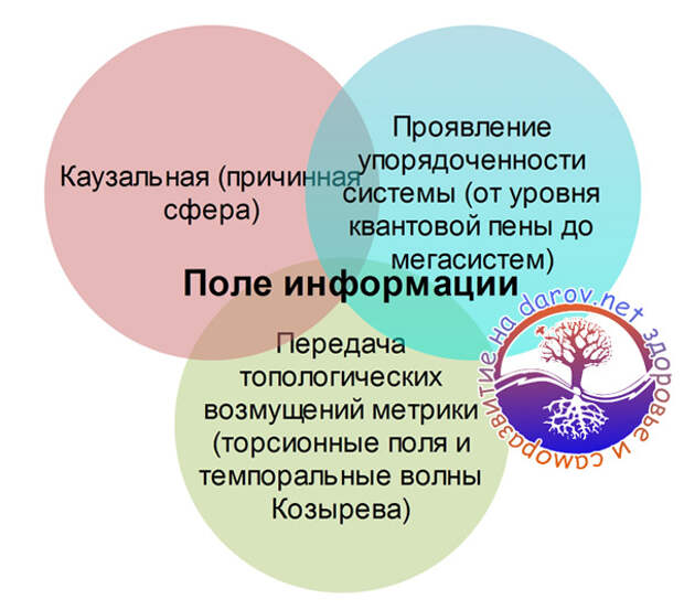 Информационное поле