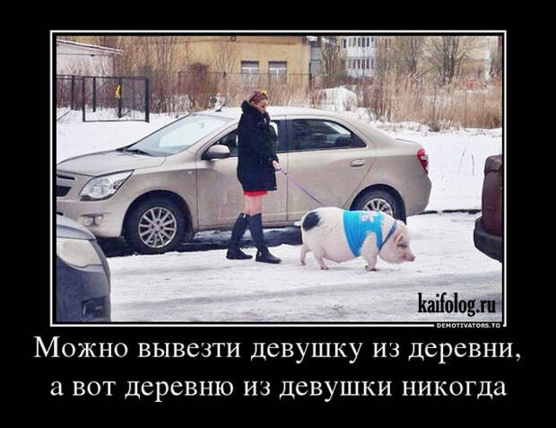 Все соседи плохие но верхние хуже нижних картинки