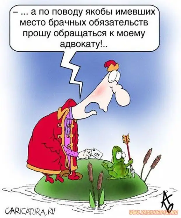 Слово якобы. Юмор карикатуры. Развод карикатура. Развод юмор. Смешные картинки на тему развода.