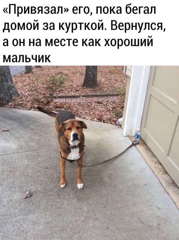 Самый хороший мальчик Самый хороший мальчик