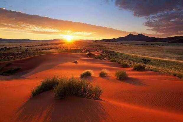 pustynya-namib