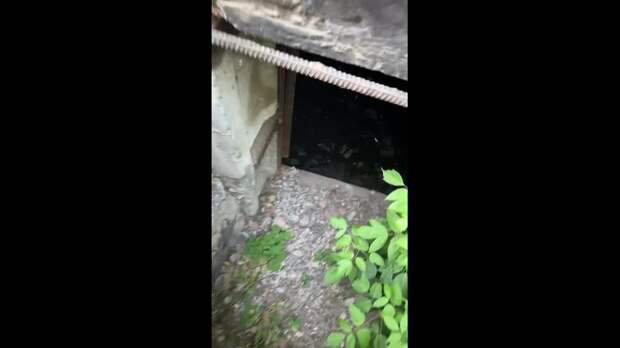 Video: Клип @donetskdnr_vk