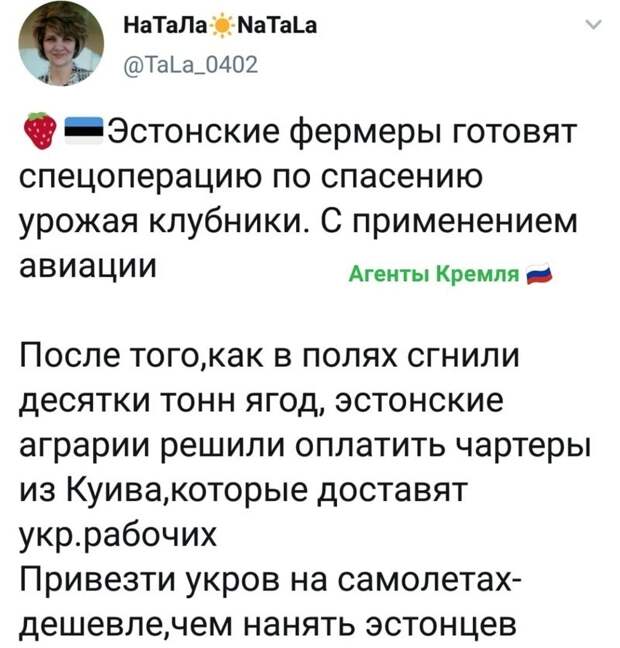 Политические комментарии из инета