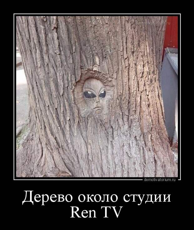 Свежие демотиваторы для хорошего настроения (12 фото) Свежие демотиваторы для хорошего настроения (12 фото)