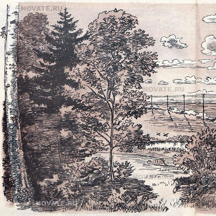 Левая сторона картинки.