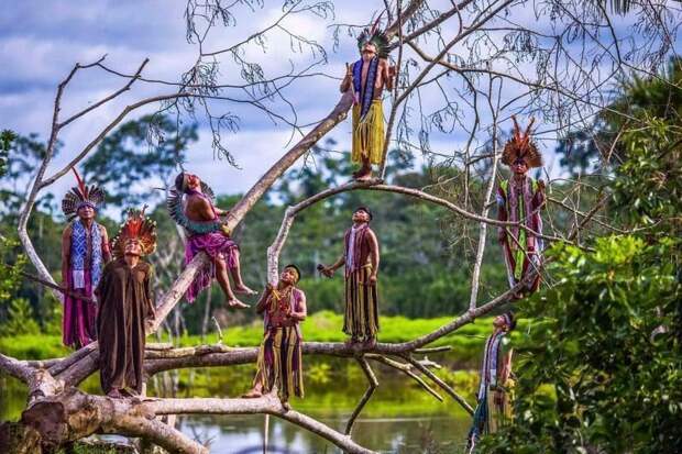 Представители племени Kaxinaw Indians идеально сочетаются с ветвями деревьев, расположенных в лесах возле в Амазонки, штат Акри, Бразилия бразилия, в мире, животный мир, люди, племена, природа, туризм
