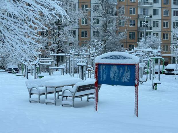 Россиянам напомнили о зимнем ритуале чистки ковров снегом