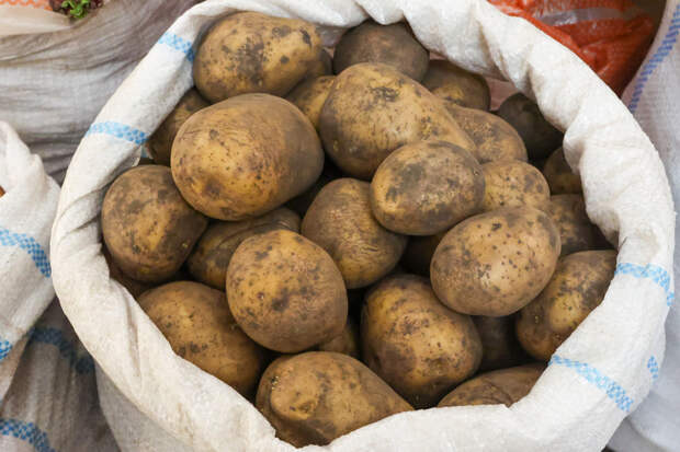 В Ростовской области стоимость картошки выросла на треть