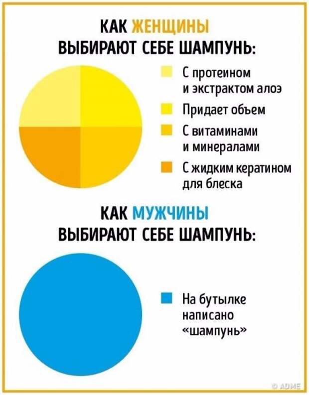 Отличия между мужчинами и женщинами в прикольной инфографике (10 фото)