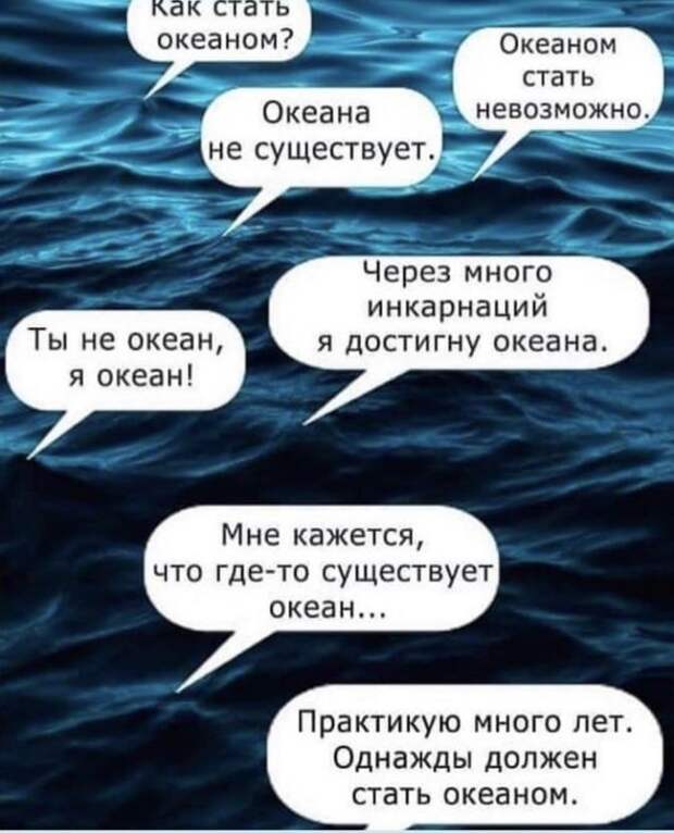 206323_15_trinixy_ru.jpg