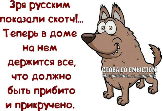 Прикольные фразочки в забавных картинках