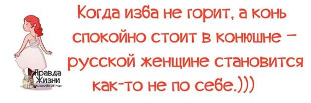 Прикольные фразочки в забавных картинках