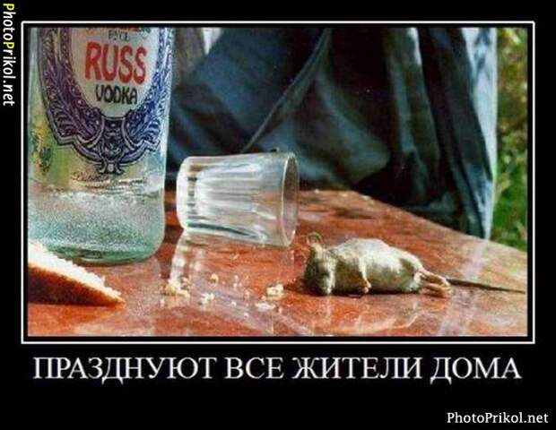 Новые смешные демотиваторы (44 демотиватора) Новые смешные демотиваторы (44 демотиватора)