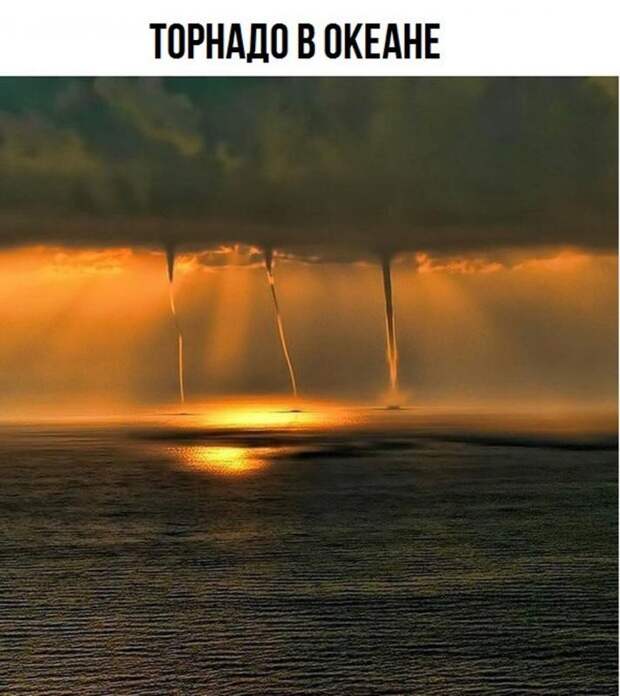 Всякая прикольная всячина, фото и картинки 46