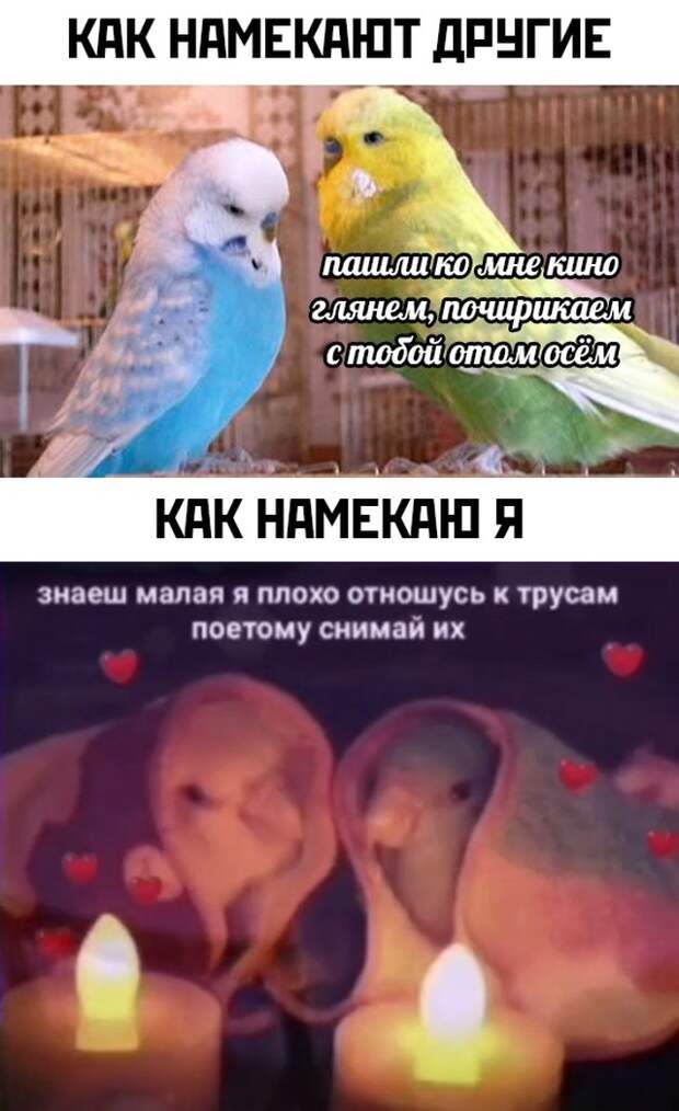Смешные картинки вечерний выпуск 30 июля 2021