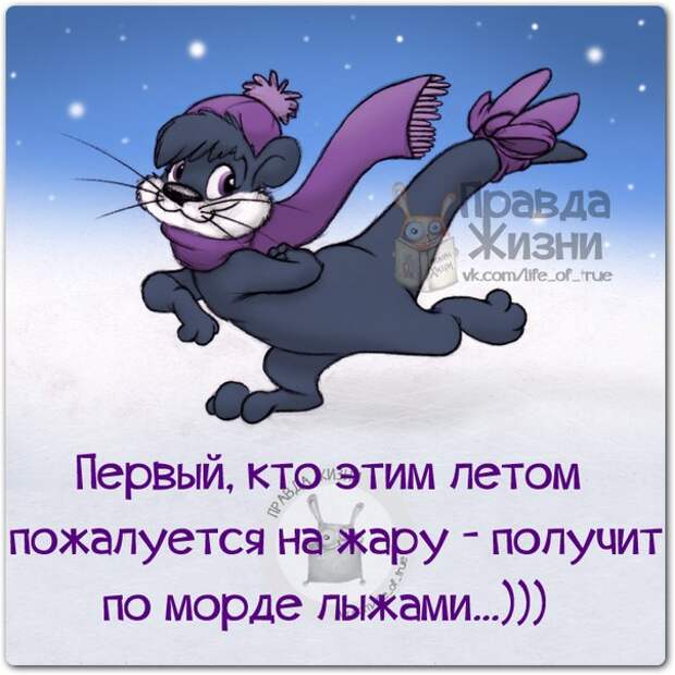 Прикольные фразочки в картинках