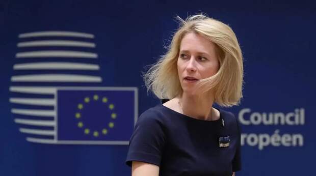 Малинен указал на приближение краха Европы из-за политики  Каллас