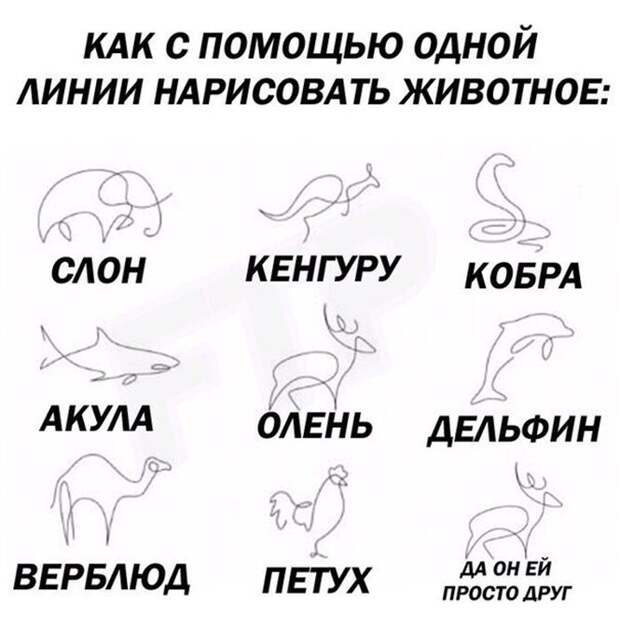 Прикольные и смешные картинки