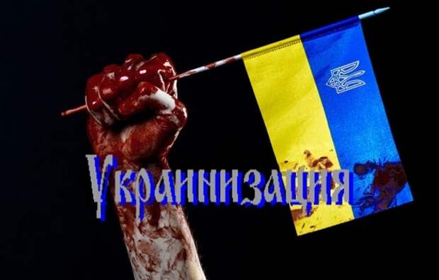 Тимошенко: украинцы недовольны украинизацией? Надо ужесточить!