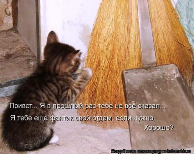 Смешная котоматрица