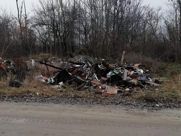Про мусорный коллапс в Краснодаре мусор, факты, экология