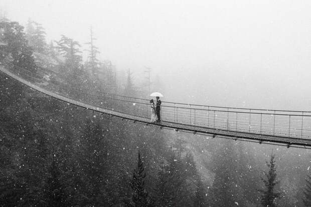 50 лучших свадебных фотографий 2017 года 47