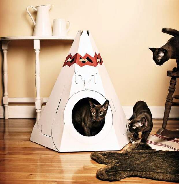 Котодизайн