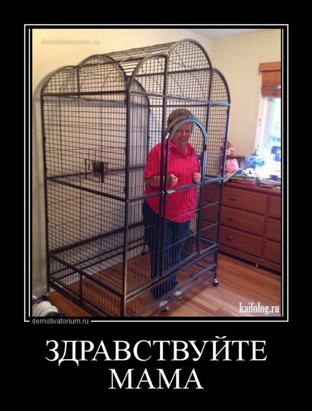 Демотиваторы - 248 (50 демотиваторов)