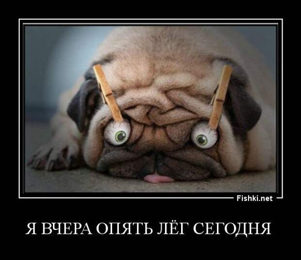 Демотиваторы смех, демотиваторы, прикол, юмор