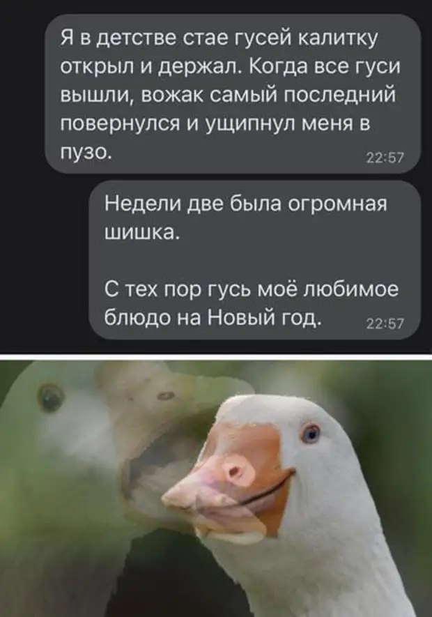 В голове у человека обычно две дилеммы: как удержать того, кто хочет уйти, и как избавиться от того, кто уходить не хочет? © Дэнни Де Вито Дорогая, Капитан, шесть, капитан, ревнуешь, чтобы, Царевич, фунтов, тысяч, Адаму, поцеловал, лягушку, спасательные, какого, эффекта, говорит, стерлингов, Готовьте, радио, Ответ
