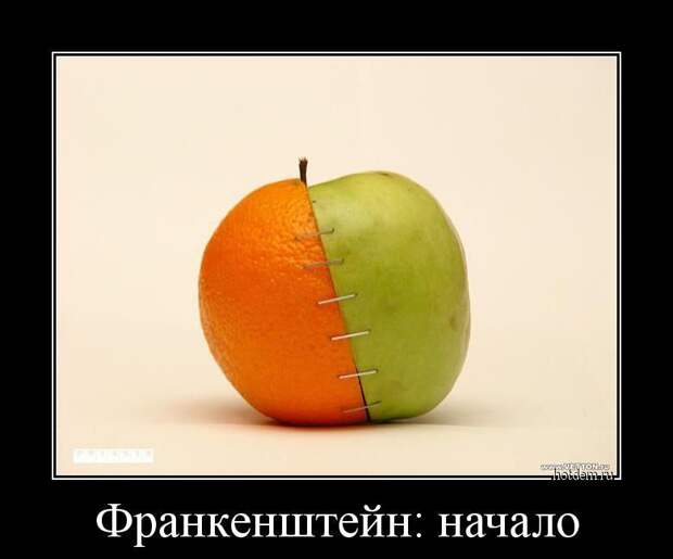 Демотиваторы...