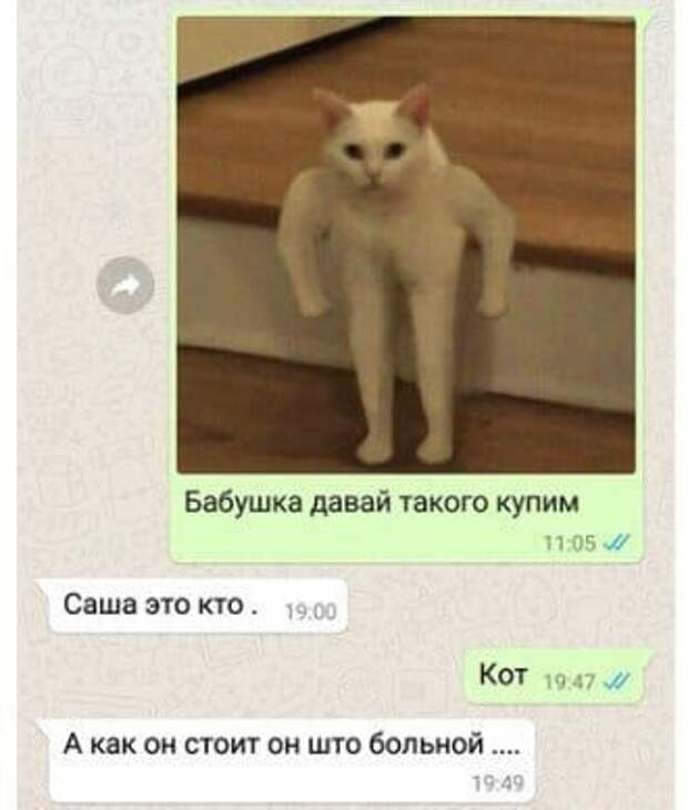 Здесь для вас много фото-приколов и картинок (44 шт)
