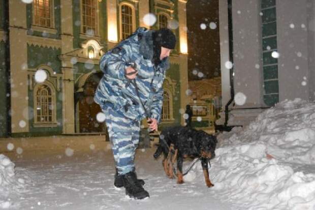 Празднование Рождества в Тамбовской области прошло без происшествий
