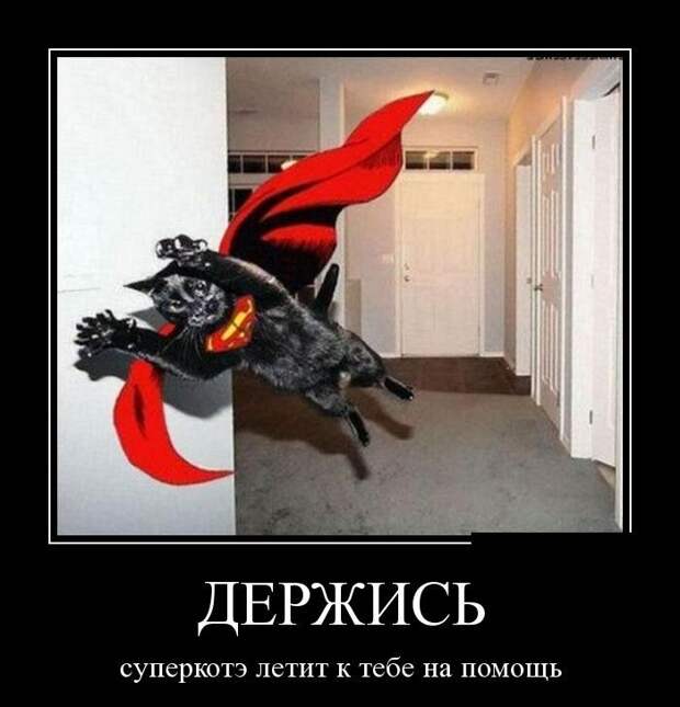 Сборник демотивационных приколов Сборник демотивационных приколов