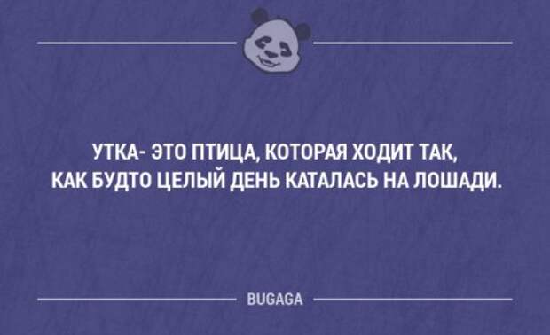 Смешные фразы и мысли со смыслом. Часть 71 (18 шт)