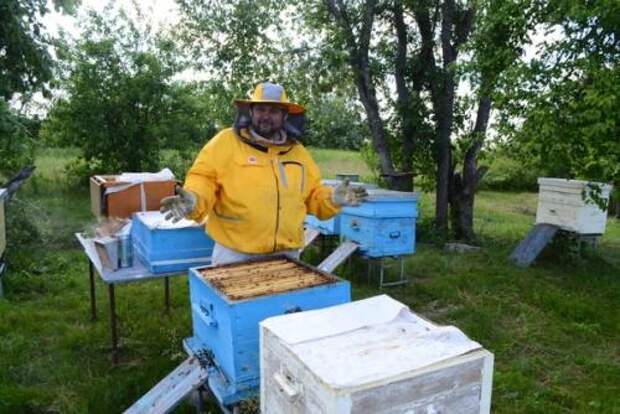 20 мая отмечается всемирный день пчёл (World Bee Day.