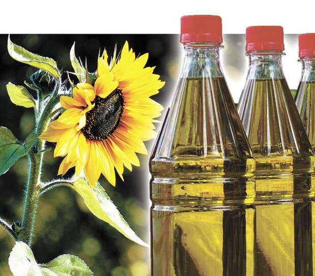 Тонна подсолнечного масла. Растительное масло. Производство растительного масла. Производство подсолнечного масла. Завод растительных масел.