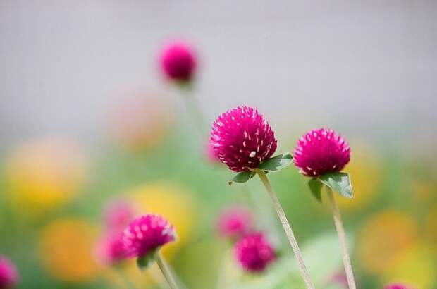 Есть только миг между прошлым и будущем... Есть только миг между прошлым и будущем...