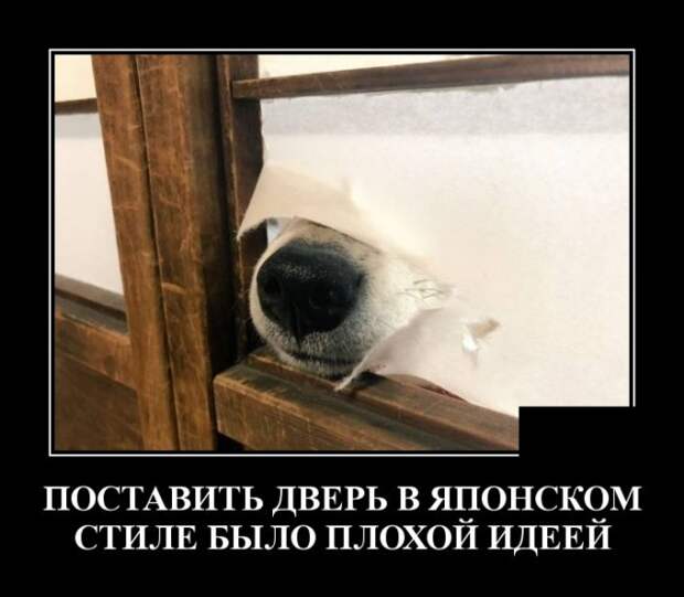 Демотиваторы (30 фото)