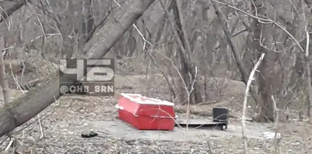 Барнаулец пожаловался на гроб, который кто-то принес в парк «Юбилейный»