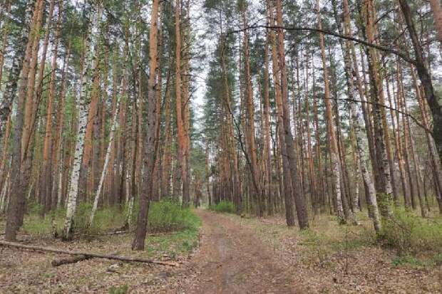 В Тамбовской области с 17 апреля стартовал пожароопасный сезон