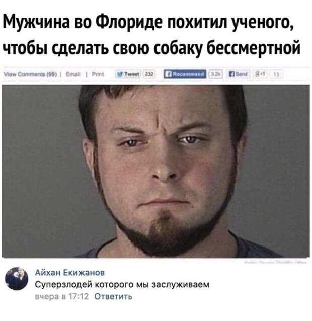 Подборка картинок (20 фото)