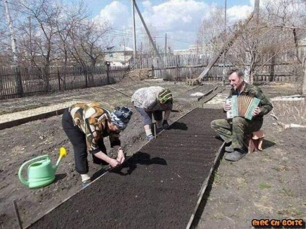 15 фотографий, которые заставят усомниться, кто же на самом деле является «слабым полом» 15 фотографий, которые заставят усомниться, кто же на самом деле является «слабым полом»