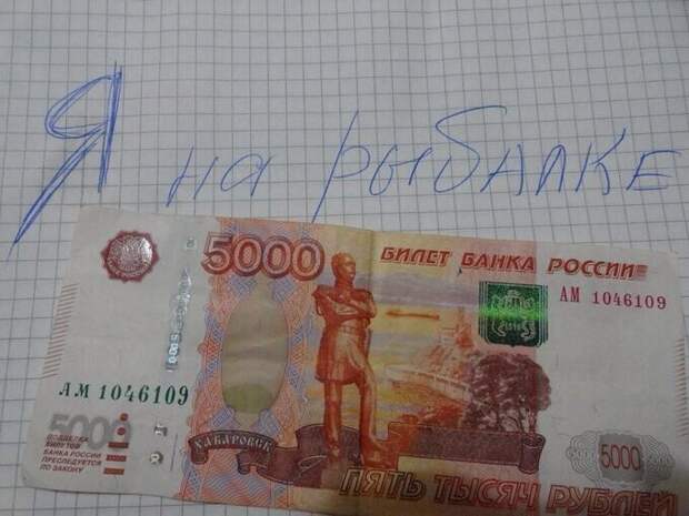 Мужья и жены пишут друг другу