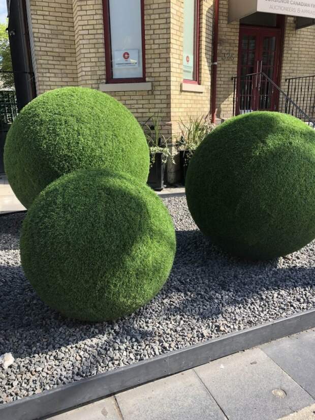 Фотоподборка